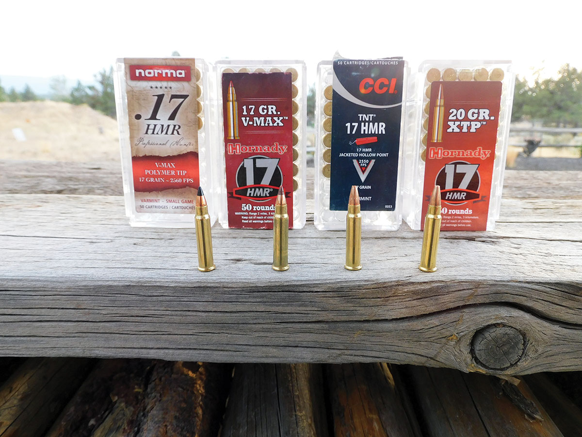 The 17 HMR is a great choice for hunting ground squirrels, rabbits, prairie dogs, possums, armadillos and other varmints. Larger game, like ground hogs and rockchucks can be taken with one shot if the bullet is placed precisely.
